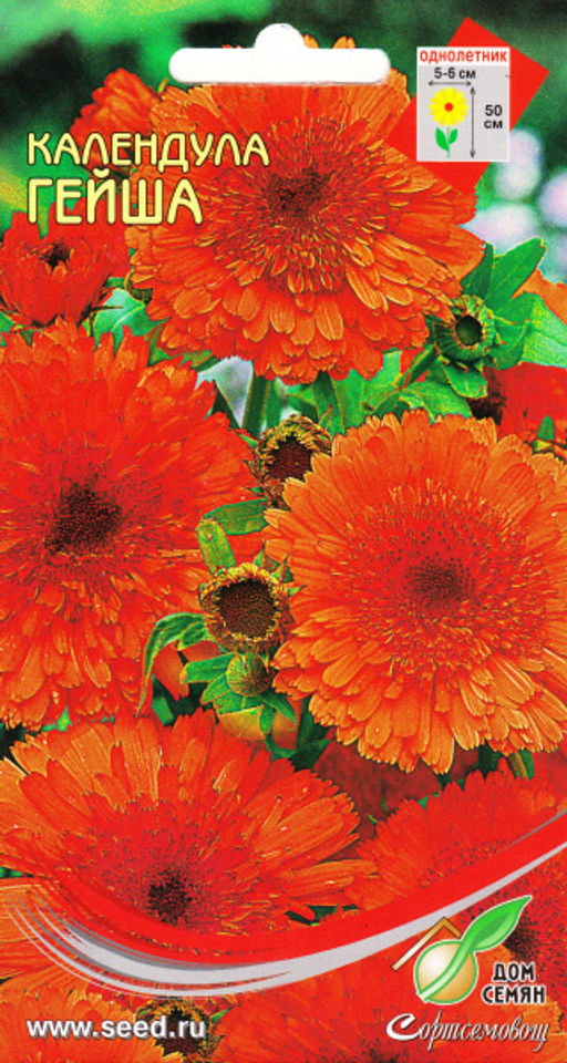 Календула Гейша