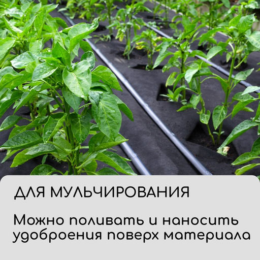 Материал для ландшафтных работ, 5×3.2 м, плотность 120 г/м², спанбонд с УФ-стабилизатором, чёрный, Greengo, Эконом 30% фото 7