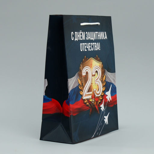 Цена за 2 шт. Пакет подарочный ламинированный, упаковка, С 23 февраля, ML 21?25?8 см