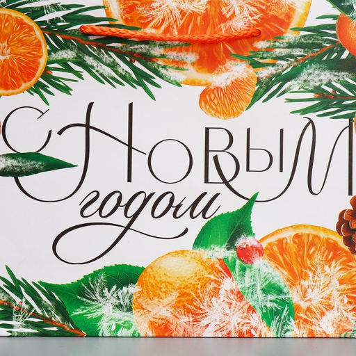 Пакет ламинированный горизонтальный Цитрусовый коктель, MS 23 18 8 см - Доступные радости фото 5