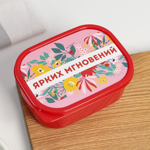 Цена за 2 шт. Ланч - бокс прямоугольный Ярких мгновений, 500 мл