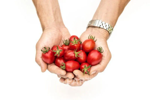 Томат Черри Элизабет - Партнер фото 5