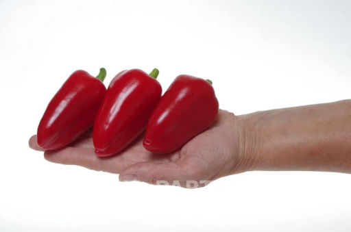 Перец сладкий Фьюджи - Партнер фото 4