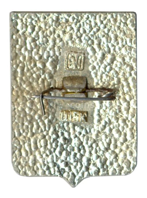 Значок Боровичи