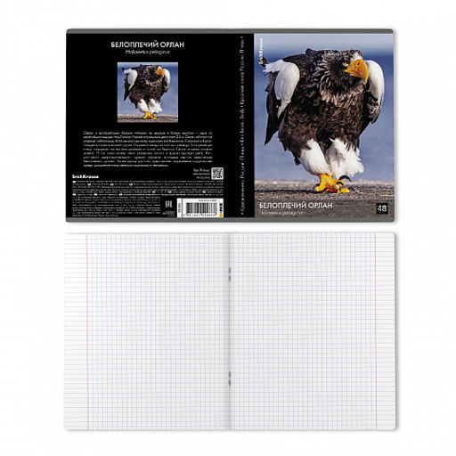 Цена за 5 шт. Тетрадь общая ученическая ErichKrause Энциклопедия, Красная книга России. Птицы, 48 листов, клетка, глянцевая ламинация_MIX-PACK  фото 9