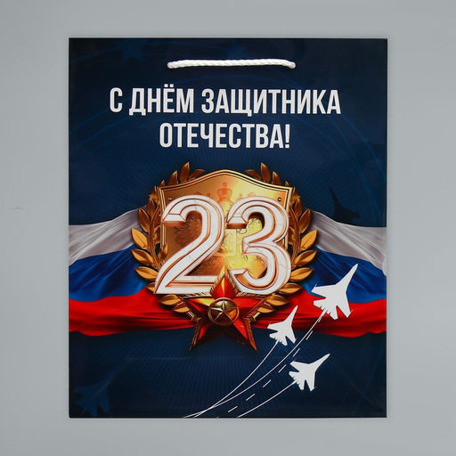 Цена за 2 шт. Пакет подарочный ламинированный, упаковка, «С 23 февраля», ML 21×25×8 см