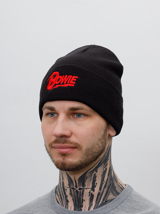 Шапка AMERICAN NEEDLE арт. 21019A-BOWI Bowie Cuffed Knit (черный) фото 3