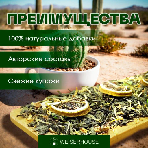 Африканский кактус. Зеленый Ароматизированный
