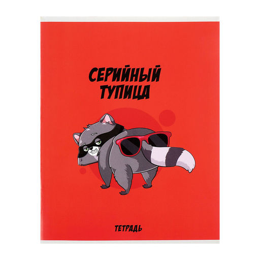 Комплект тетрадей из 5 шт Дерзкий енот, 48 листов, в клетку, обложка мелованный картон, блок офсет - Calligrata фото 5