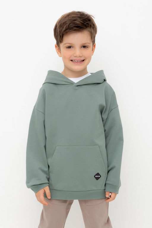 КР 302680/полынь джемпер (худи) для мал
