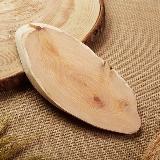 Подставка под горячее «Обычная, слэб», 8×20 см, можжевельник