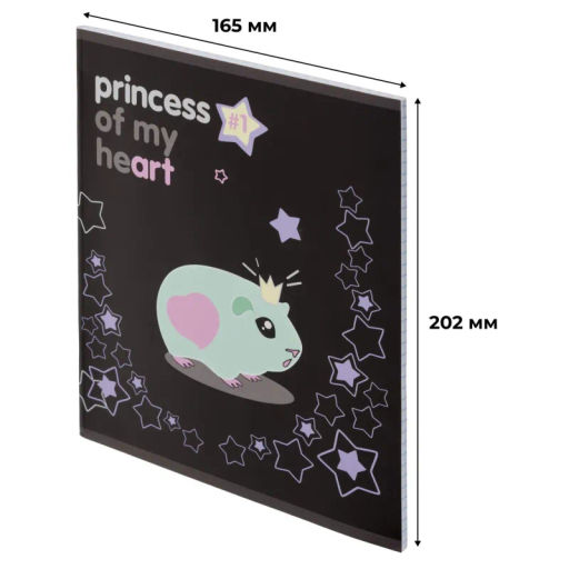 Цена за 2 шт. Тетрадь общая А5 48л Princess,клет,скреп, ВД-лак