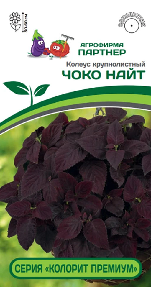 3314P Колеус "КОЛОРИТ ПРЕМИУМ" ЧОКО НАЙТ 5шт