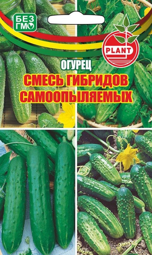 Специальный набор лучших гибридов огурца ДЛЯ ОТКРЫТОГО ГРУНТА И ПАРНИКОВ Руки устанут вёдра с урожаем носить! - Уральский дачник фото 3