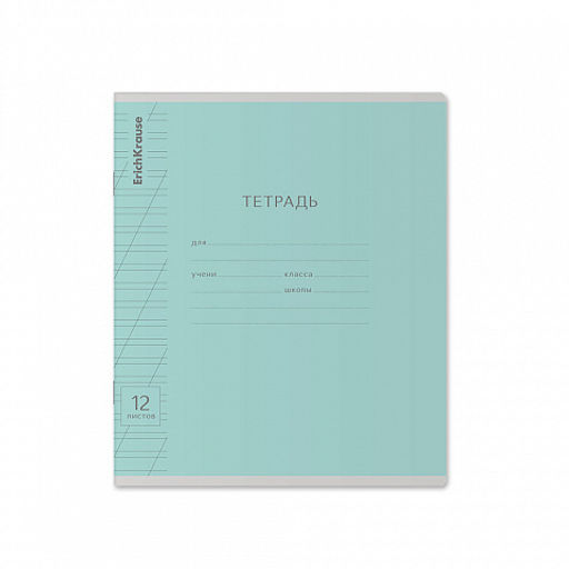 Цена за 280 шт. Тетрадь школьная ученическая ErichKrause Классика Visio ассорти, 12 листов, частая косая линейка (в плёнке по 10 шт.) фото 39