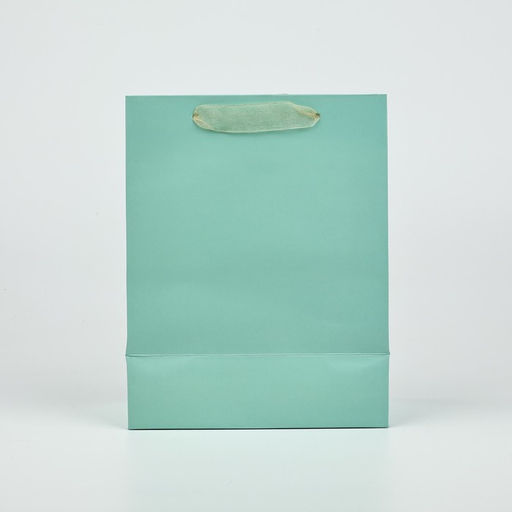 Цена за 2 шт. Пакет ламинированный «Поздравляю», MS 18×23×10 см