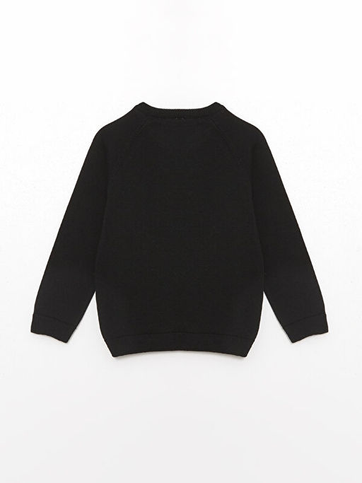 Bisiklet Yaka Uzun Kollu Erkek Bebek Triko Kazak - Waikiki фото 2