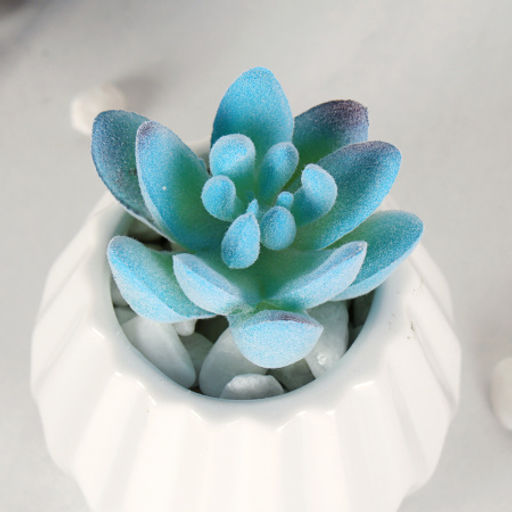 Суккулент искусственный 5х7 см / GN144 /уп 100/ - Галеонтрейд фото 4