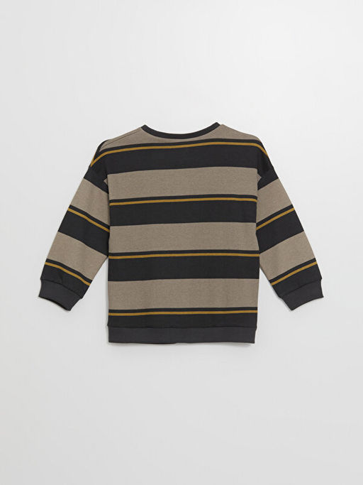 Bisiklet Yaka Uzun Kollu ?izgili Erkek Bebek Sweatshirt - Waikiki фото 3