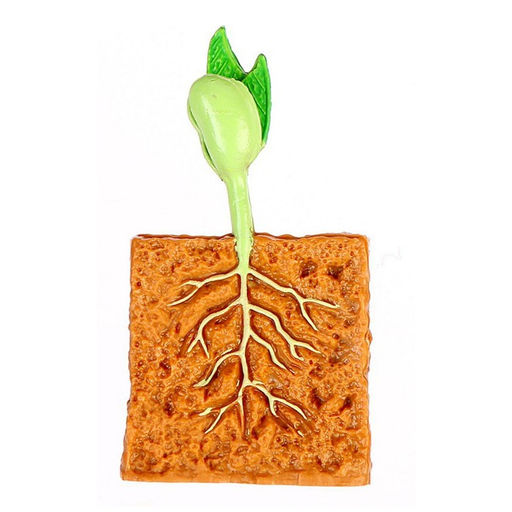 Обучающий набор Этапы развития семечка 4 фигурки - Simaland фото 6