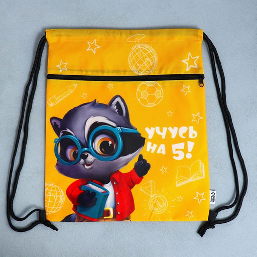 Сумка для обуви Учусь на 5!, 2 секции, 41х31 см - Artfox study фото 8