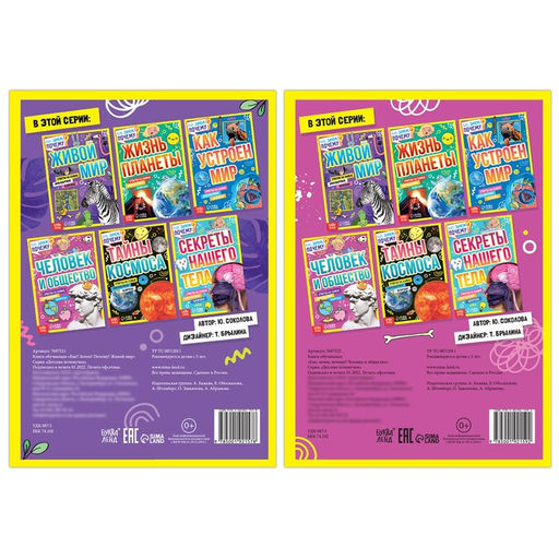 Набор обучающих книг Как, зачем, почему? Мир, человек и общество, 2 шт. - Буква-ленд фото 4