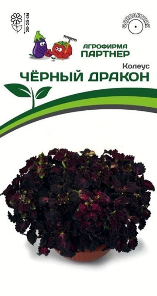 3315P Колеус ЧЁРНЫЙ ДРАКОН 10шт