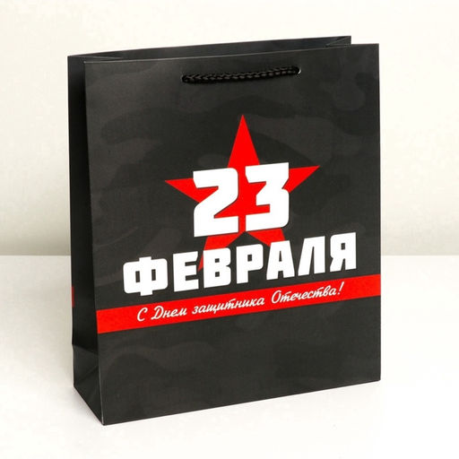 Пакет подарочный ламинированный, упаковка, «С 23 февраля», M 26×30×9 см