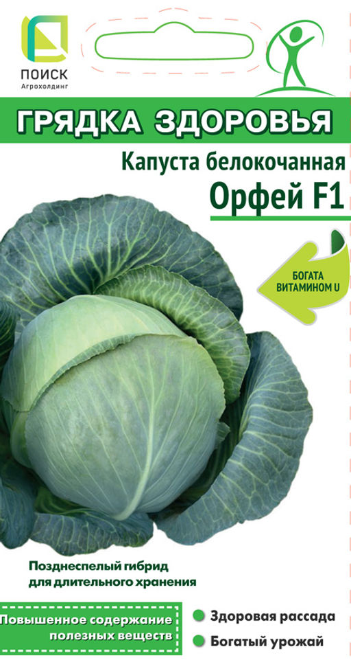 Капуста белокочанная Орфей F1 (сер.Грядка здоровья) (А) (ЦВ) 0,2гр - Поиск фото 2