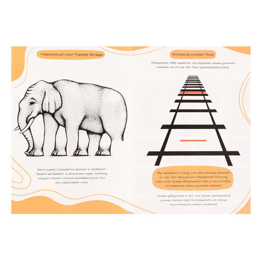 Набор Оптические иллюзии, 4 книги по 36 стр., 7+ - Буква-ленд фото 13