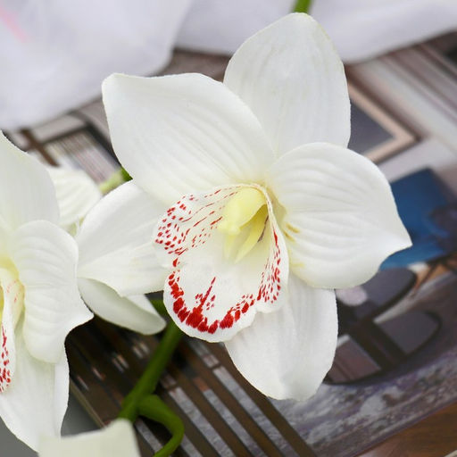 Цветы искусственные «Орхидея амабилис», h=90 см, белые