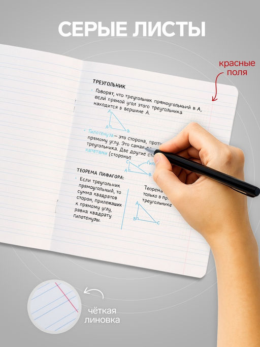 Цена за 20 шт. Тетрадь 12 листов в узкую линию, Calligrata «Однотонная Классика. Эконом», МИКС