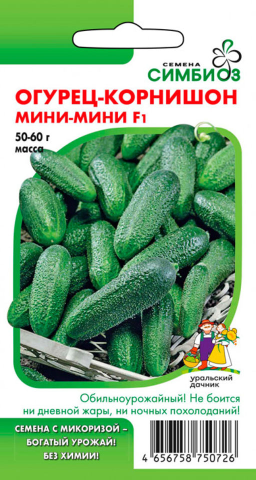 Огурец МИНИ-МИНИ F1 Не боится ни дневного зноя, ни ночной прохлады! Обильное плодоношение! - Уральский дачник фото 4