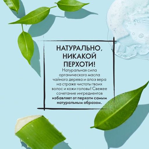 ШАМПУНЬ ПРОТИВ ПЕРХОТИ С ОРГАНИЧЕСКИМИ МАСЛОМ ЧАЙНОГО ДЕРЕВА И АЛОЭ ВЕРА LOVE NATURE