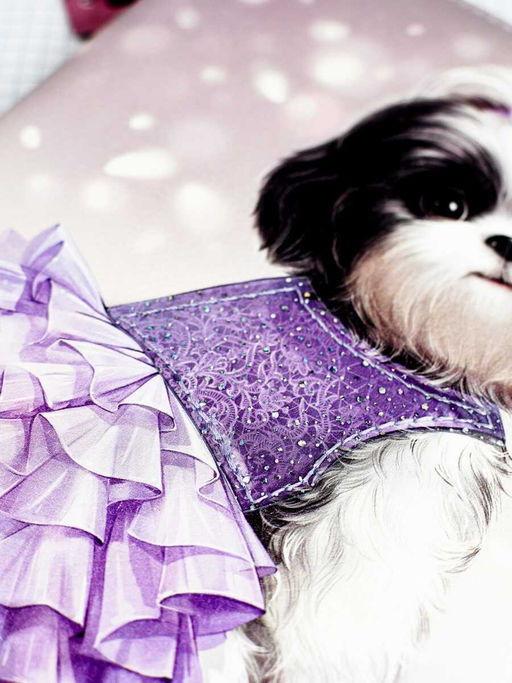 Дневник школьный арт. 68671 / 15 СОБАЧКА В ЮБОЧКЕ