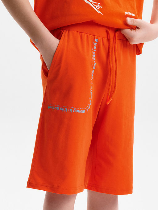 BFH3388//1U Шорты для мальчика