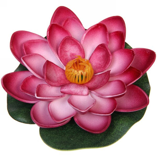 Цена за 5 шт. Растение водоплавающее "Кувшинка большая" d-10см бордовая