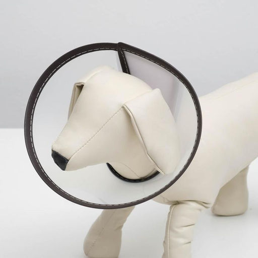 Ветеринарный воротник Пижон Premium №6, обхват шеи 32 см, высота 17,5 см  фото 2