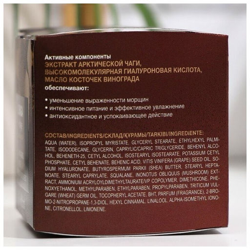 Chaga.ProAge Крем-Питание против старения ночной для лица, 50 мл