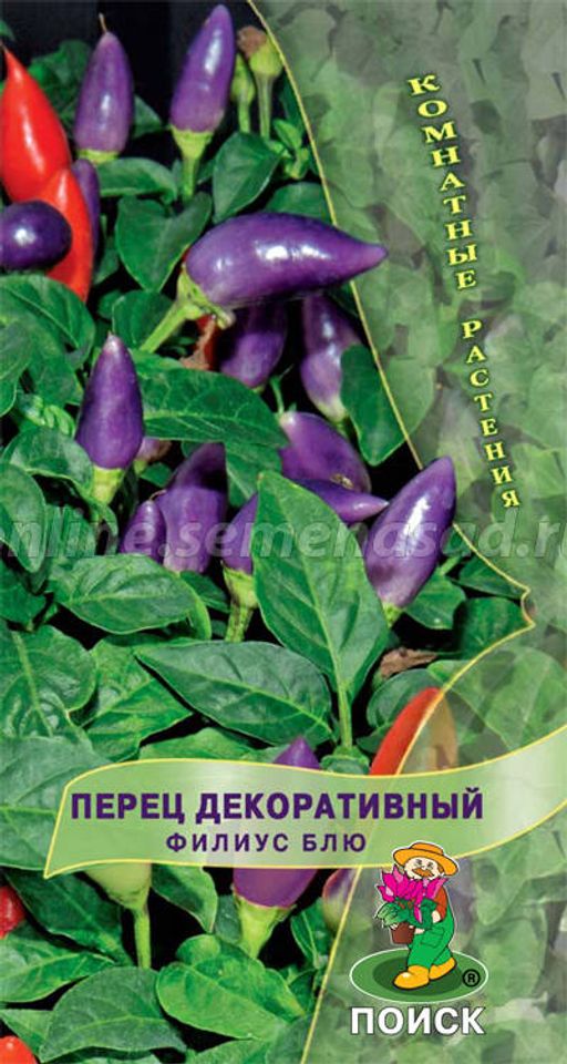 Перец декоративный Филиус Блю (ЦВ) ("К) 0,1гр.