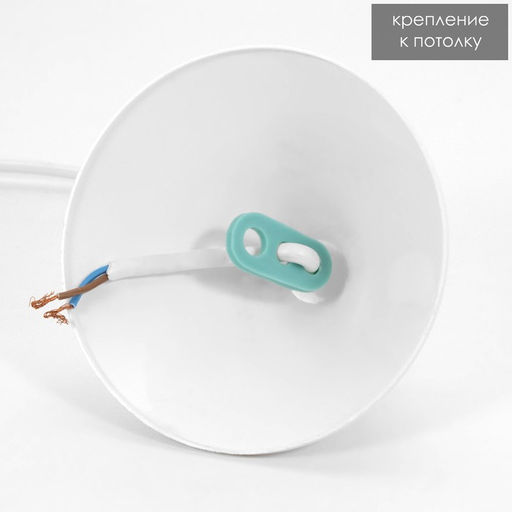 Светильник BayerLux Ладера "Розел" 1 лампа E27 40Вт д.250