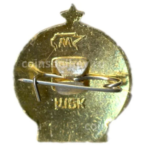 Значок Турист СССР