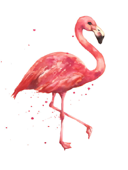 Алмазная мозаика без подрамника "Фламинго 2", 15х20 см