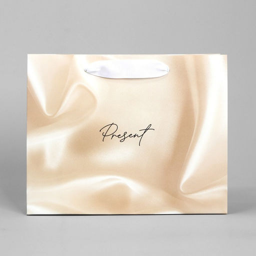 Цена за 2 шт. Пакет подарочный, упаковка, «Present», 22×17.5×8 см