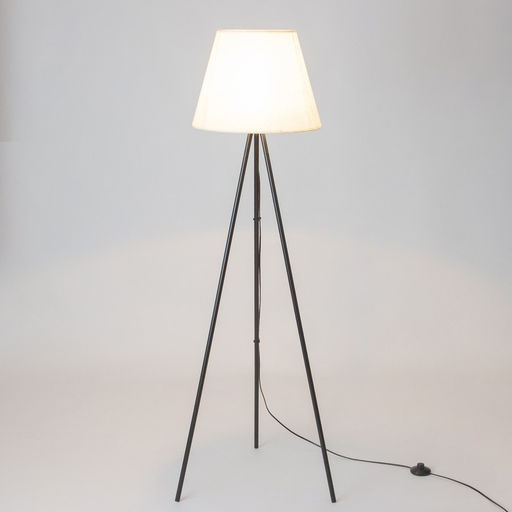 Торшер «Лаут», 1×15 Вт, Е27, чёрный/белый