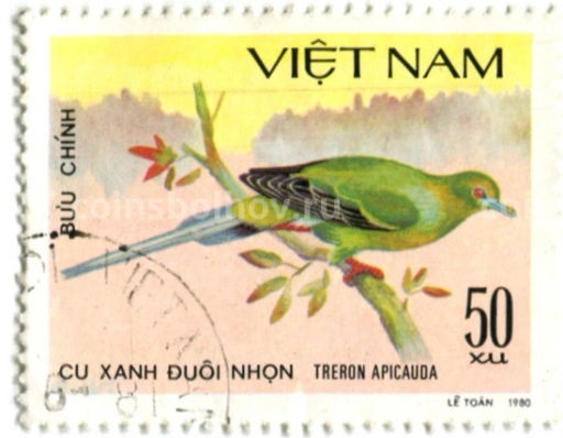 Марка Острохвостый зеленый голубь 1980 год Вьетнам