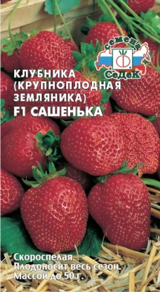 Клубника Сашенька F1 15шт. (СеДеК)
