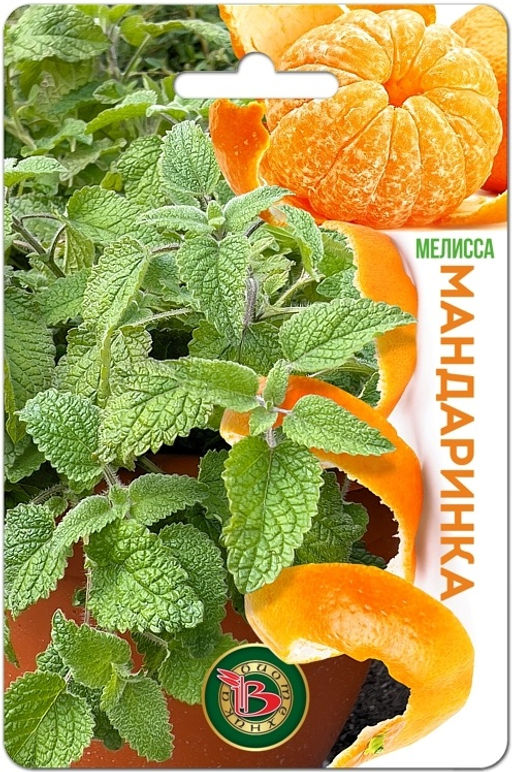 Мелисса Мандаринка