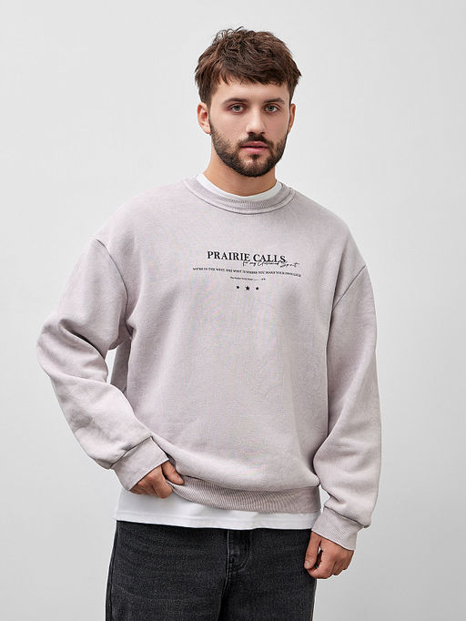 Свитшот мужской серый с надписью Prairie calls - Mark formelle фото 6