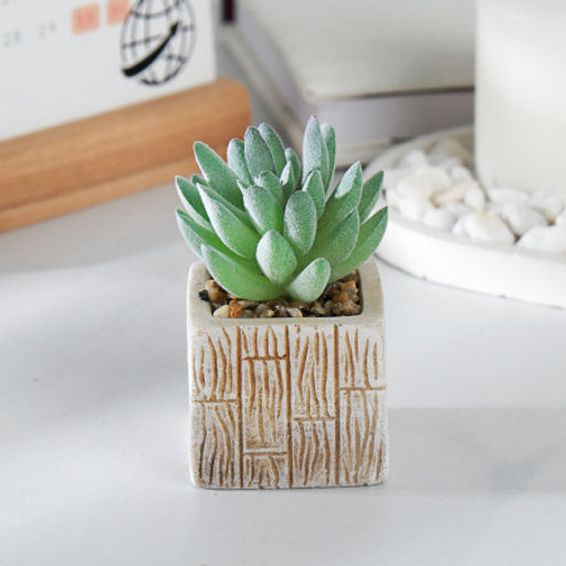 Цветочная композиция Кактус / WER-15 /уп 12/288/ микс - Галеонтрейд фото 12